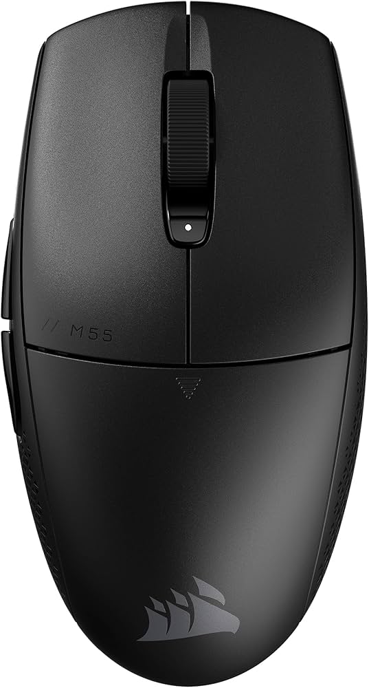 Amazon.com: Corsair M55 Wireless Lightweight FPS Gaming Mouse