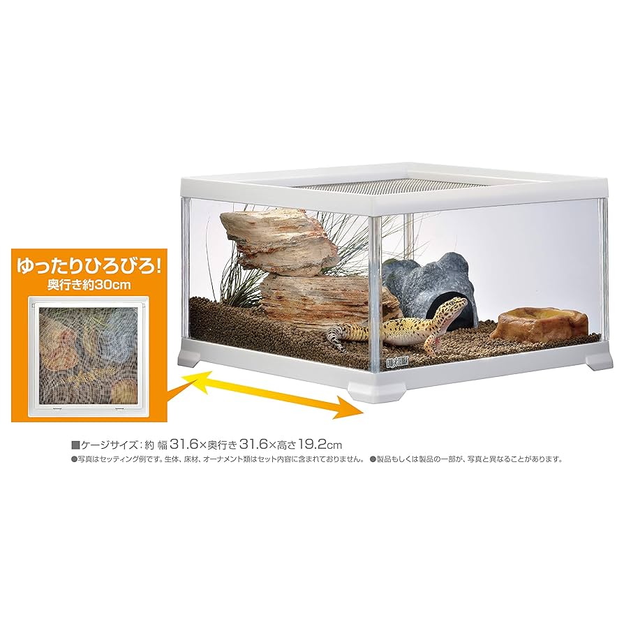 エキゾテラ 飼育ゲージ 1〜6個希望数売 昆虫、爬虫類、両生類 20×20×31