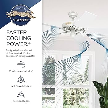 Amazon | Hunter オリジナル 52インチ 天井ファン 白いブレード5本