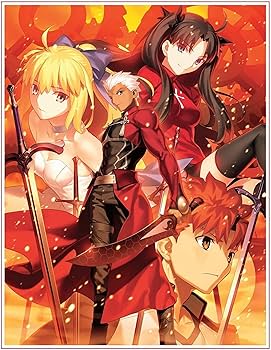 Amazon.com: Fate/stay night [Unlimited Blade Works] Complete Box