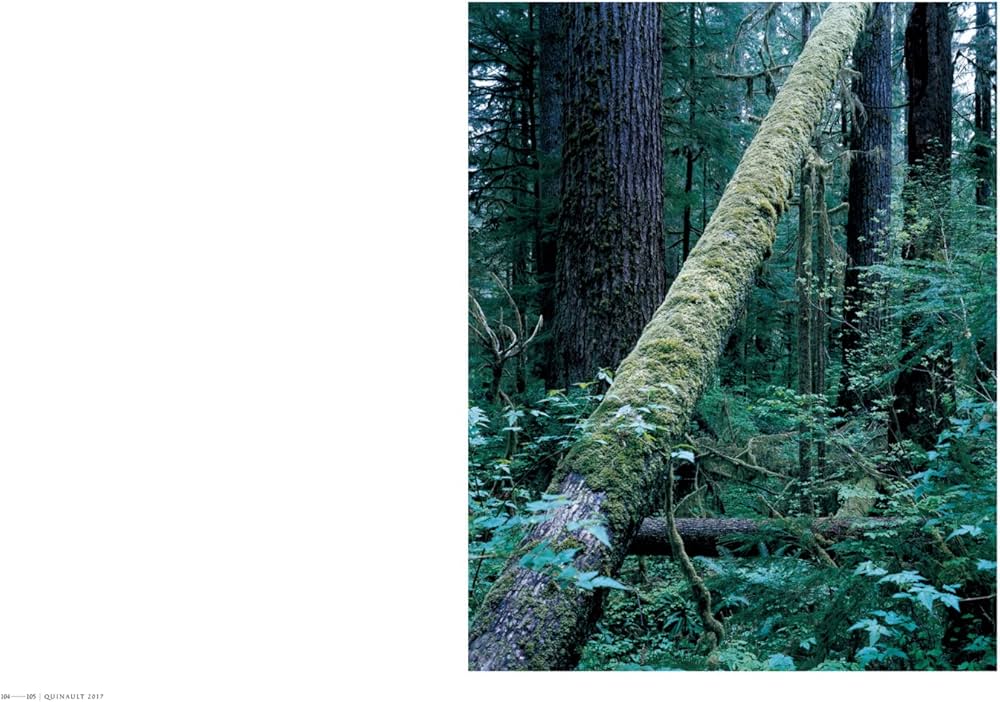 Amazon.co.jp: 上田義彦写真集 FOREST ー 印象と記憶 1989-2017 : 上田