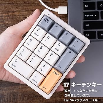 Amazon | BRIMFORD テンキー メカニカルキーボード 17キー テン