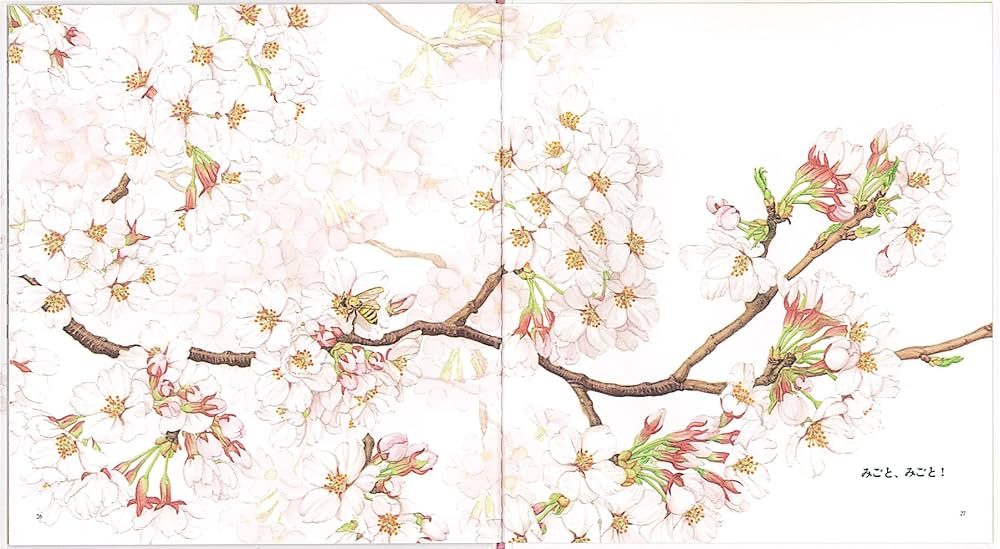 さくら (かがくのとも絵本) | 長谷川 摂子, 矢間 芳子 |本 | 通販 | Amazon