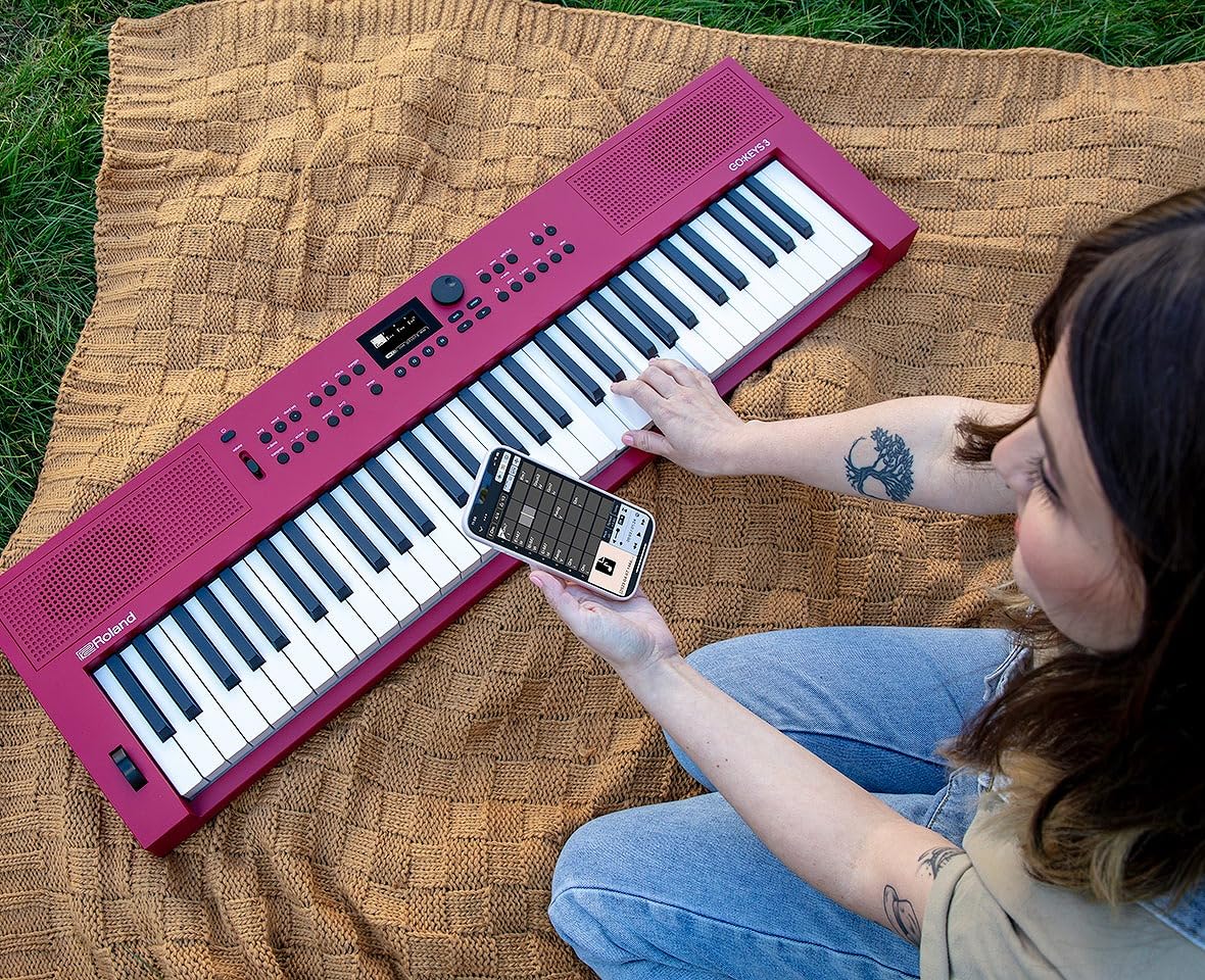 Amazon.co.jp: Roland ローランド / GOKEYS3-RD [スタンド＆背負える