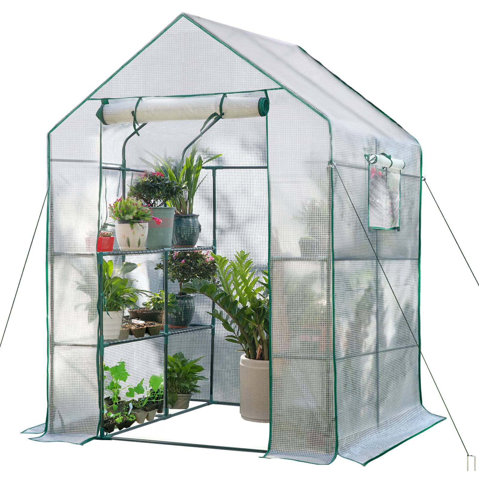 Amazon.com : SV SCOOL VALUE Green Houses for Outdoors, PE Walk in