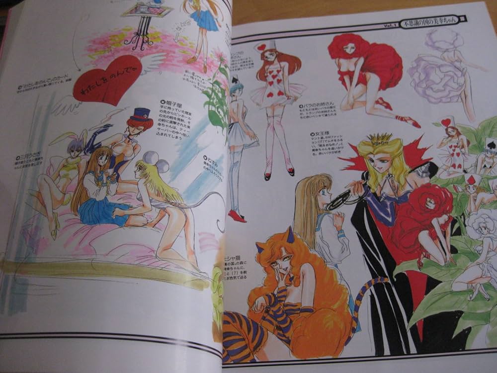 Amazon.co.jp: 不思議の国の美幸ちゃん (ニュータイプ100%コレクション