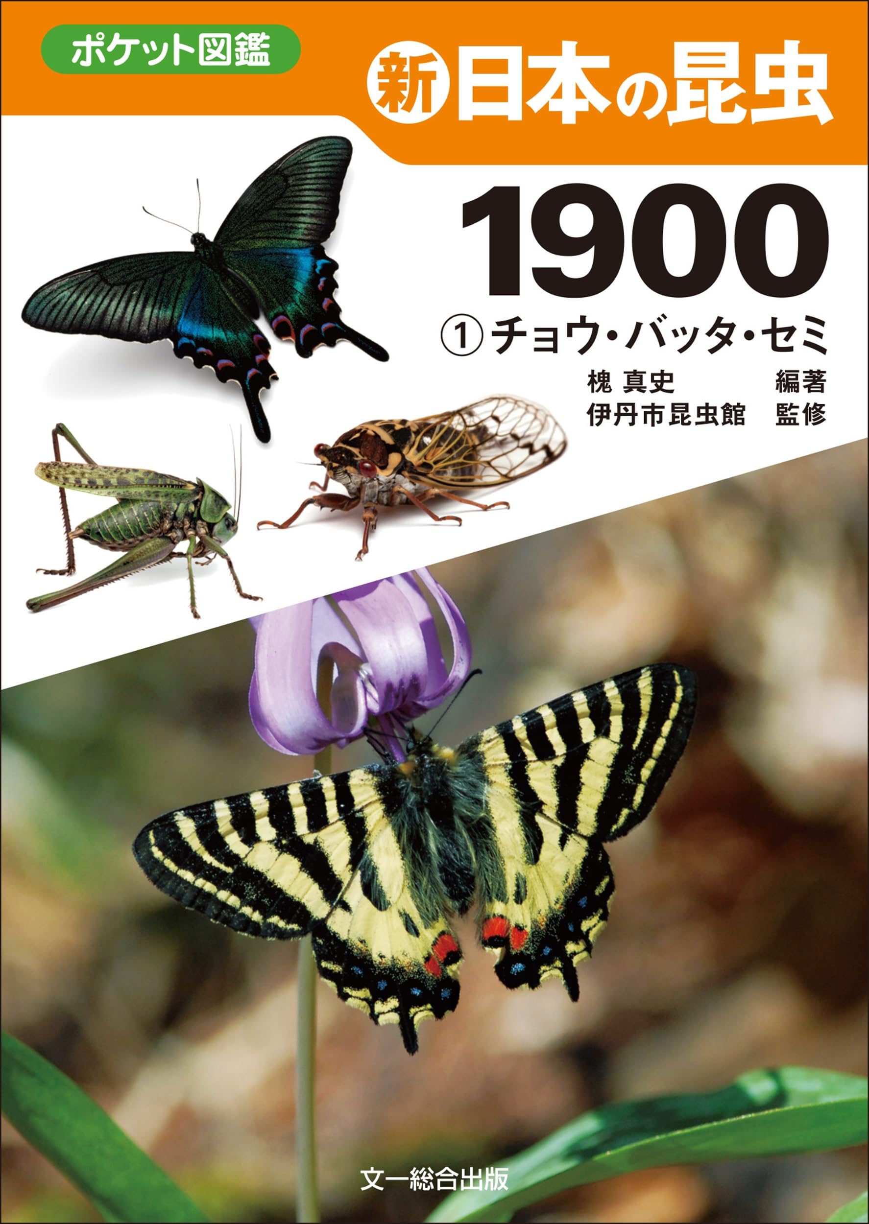 新 日本の昆虫1900(1)チョウ・バッタ・セミ (ポケット図鑑) | 槐 真史