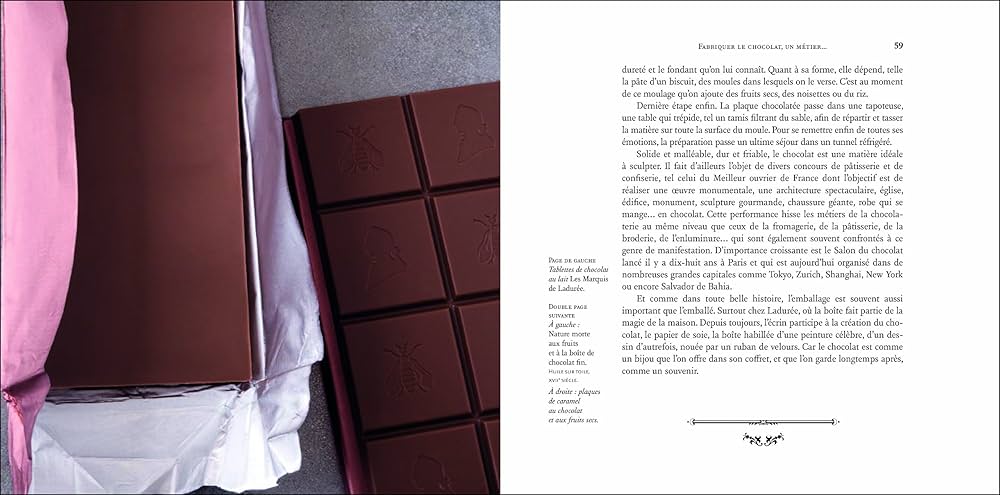ラデュレ L'Esprit Chocolat チョコレート 本 フランス語 洋書