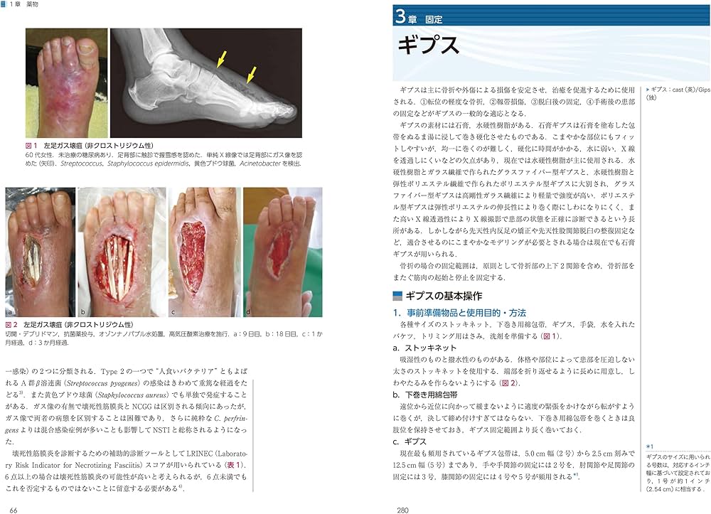 整形外科の薬物療法・保存療法 (ニュースタンダード整形外科の臨床