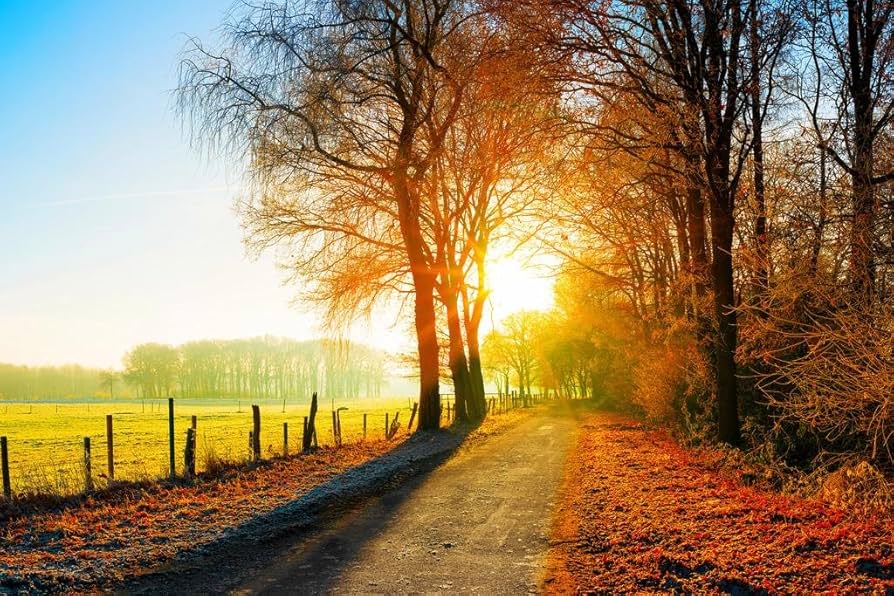 Amazon.com: Autumn Fall Decor Farm Fields Country Road Sunset