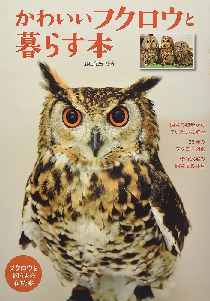 かわいいフクロウと暮らす本 (アクアライフの本) | 藤田征宏 |本