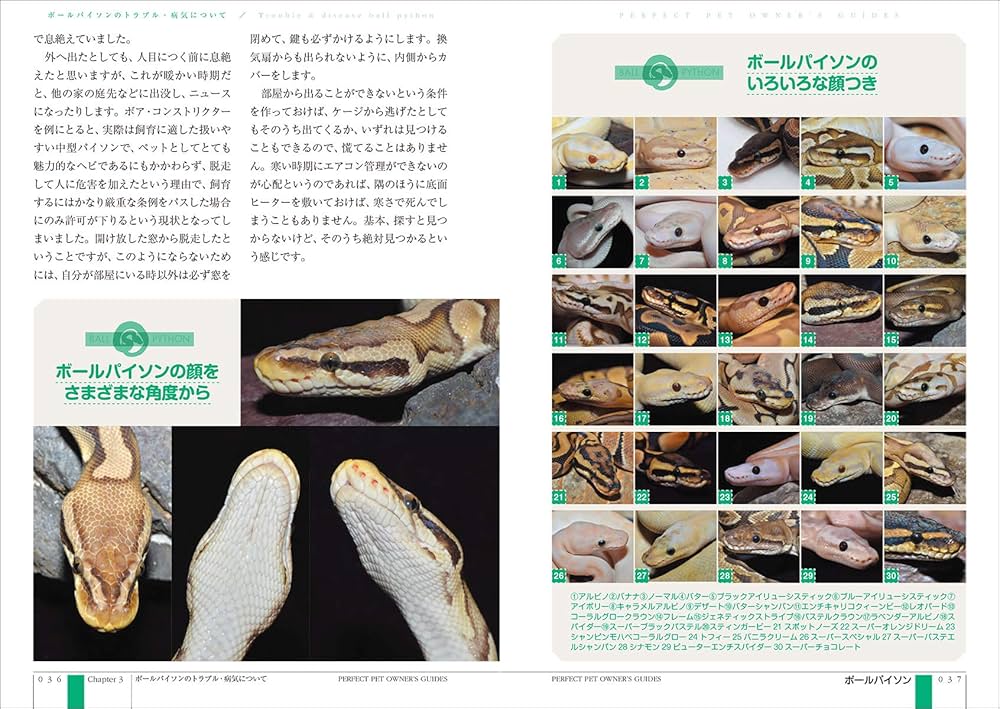 Amazon.co.jp: ボールパイソン 完全飼育: 飼育、繁殖、さまざまな品種