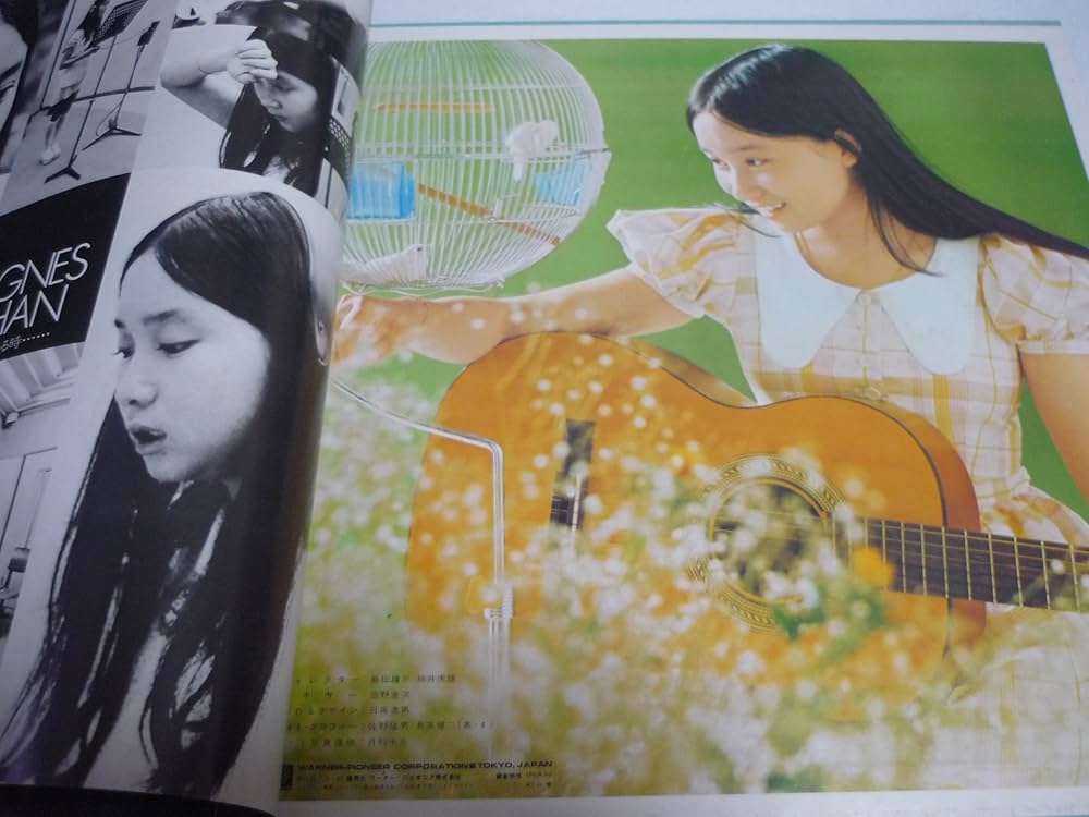 Amazon.co.jp: 草原の輝き アグネス・チャン 1973年 LP: ミュージック