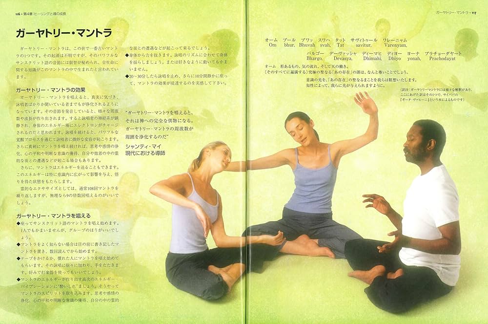 レイキと瞑想 (ガイアブックス) | タンマヤ ホナヴォグト, Honervogt