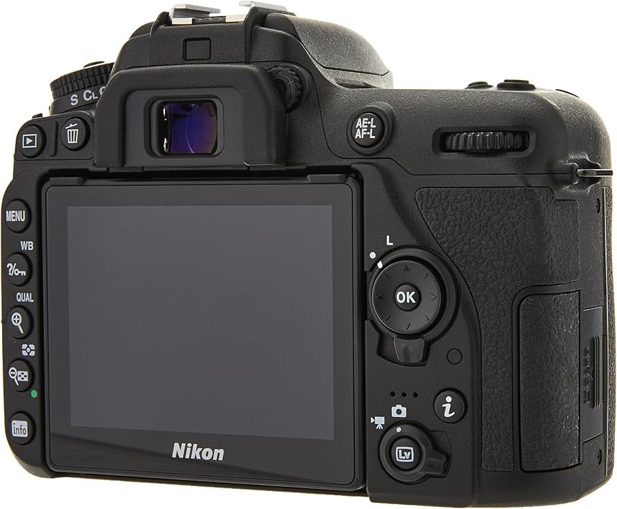 Amazon.com : Nikon D7500 Digital DSLR Camera Body - Black