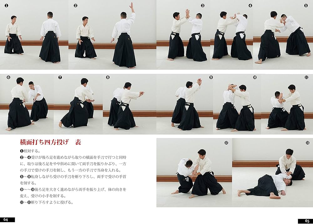 合気道入門 正確な稽古で基本を極める | 植芝充央 |本 | 通販 | Amazon