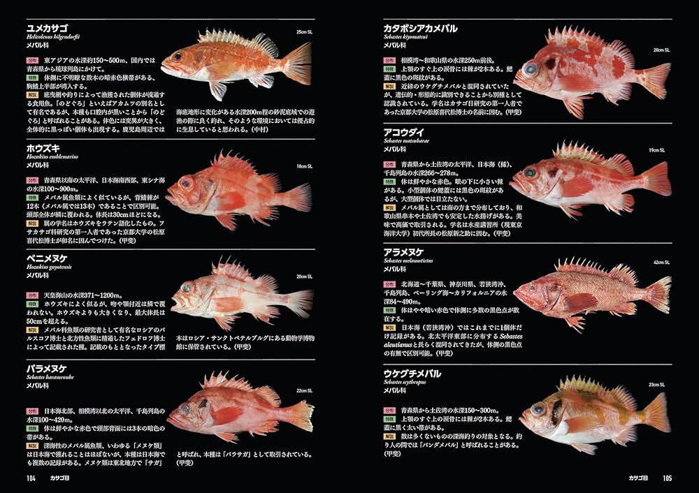 日本の深海魚図鑑 | 岡本 誠, 本村 浩之 |本 | 通販 | Amazon