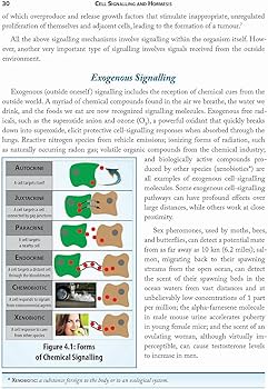 NutriSearch Comparative Guide to Nutritional Supplements for the