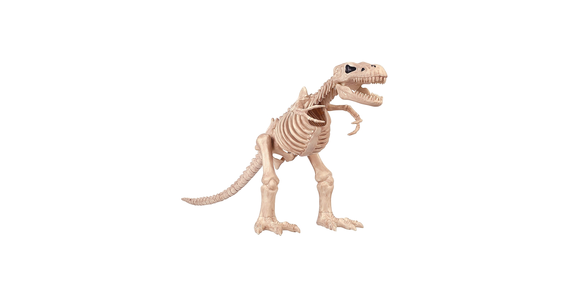 81xptDfKo1L.jpg_BO30,255,255,