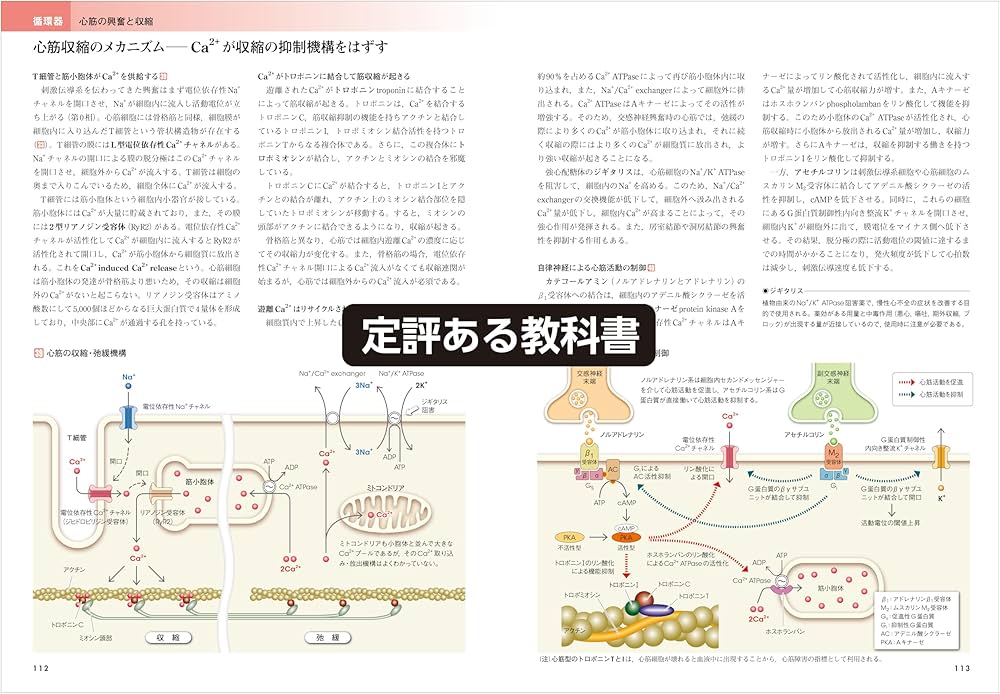 カラー図解 人体の正常構造と機能 【全10巻縮刷版】 改訂第5版 | 坂井