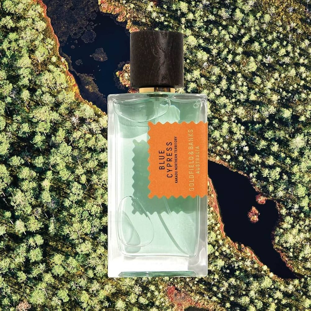 Amazon.com : Goldfield & Banks blue cypress : Beauty & Personal Care