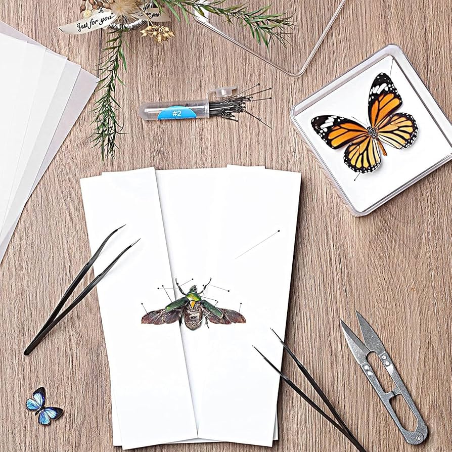 81y8prjo41L._AC_UF894,