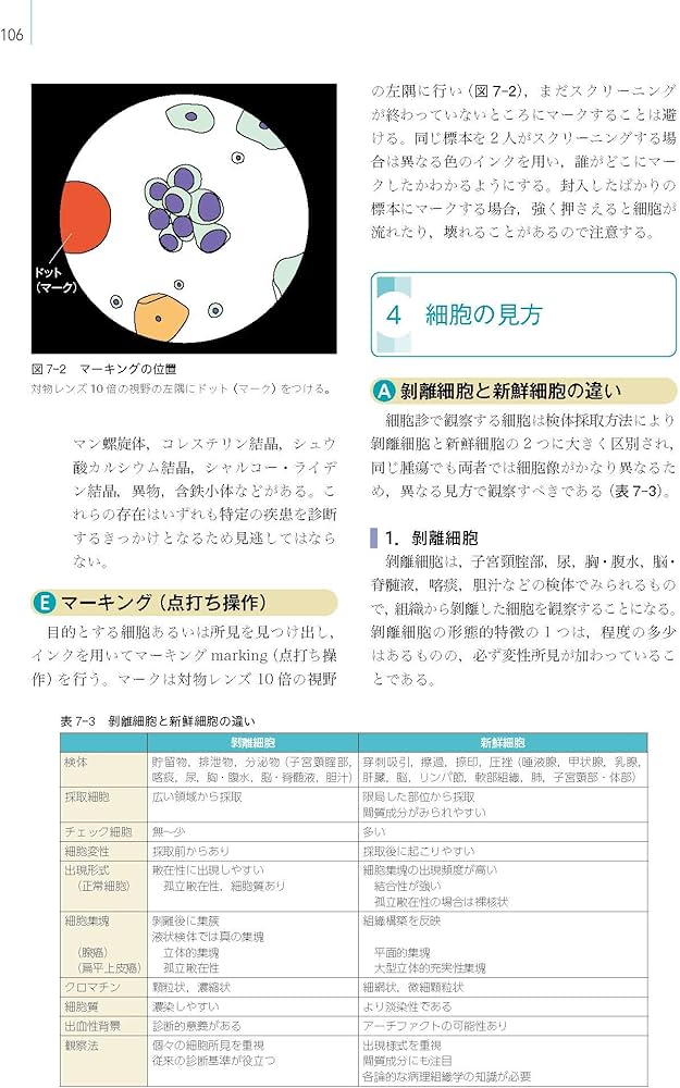 細胞診を学ぶ人のために 第6版 | 坂本 穆彦 |本 | 通販 | Amazon