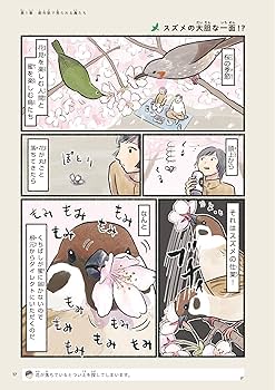 意外と知らない鳥の生活 | piro piro piccolo |本 | 通販 | Amazon