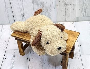 81ywTEKhkNL._AC_UF350,