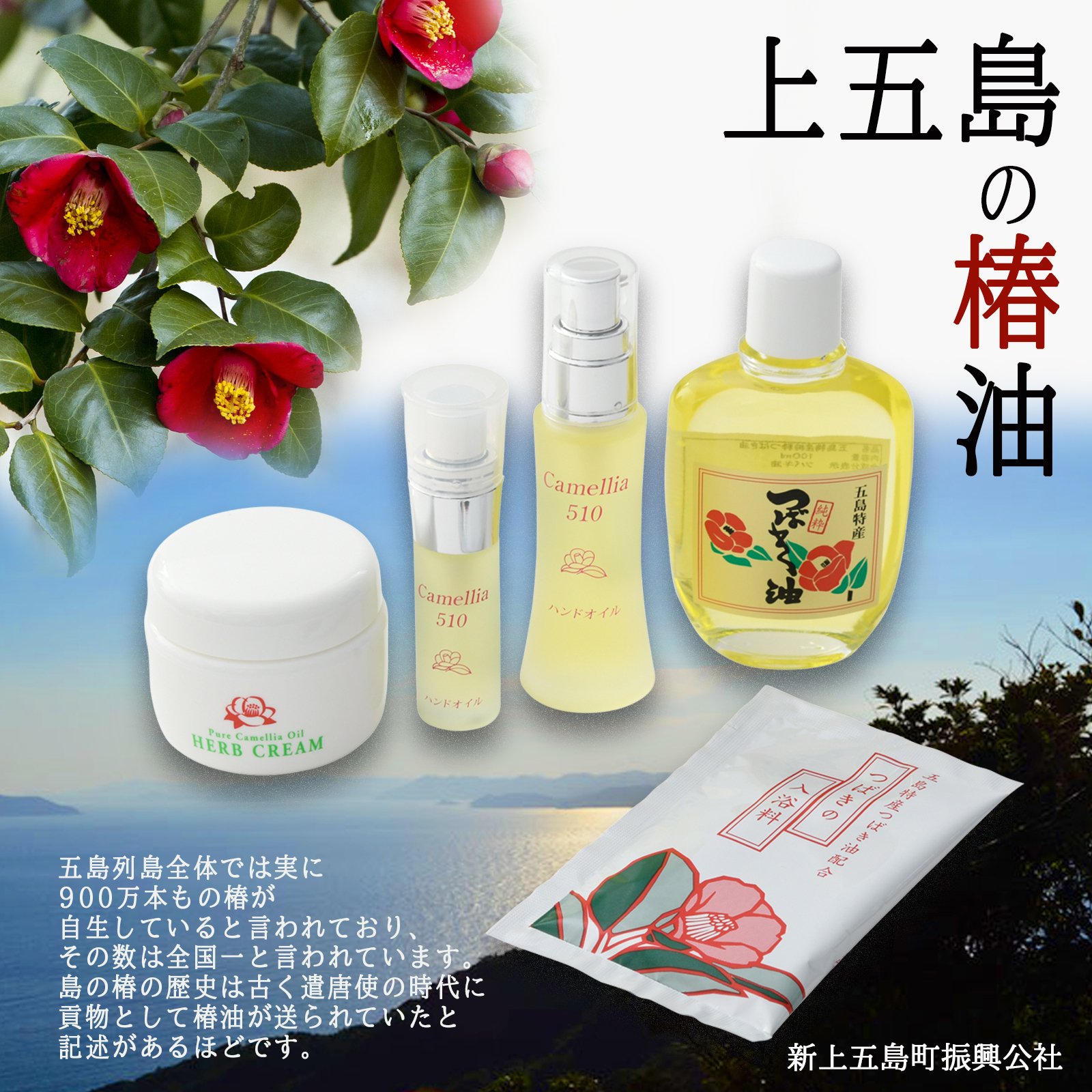 Amazon.co.jp: 新上五島町振興公社 五島特産 純粋椿油 100cc : Beauty
