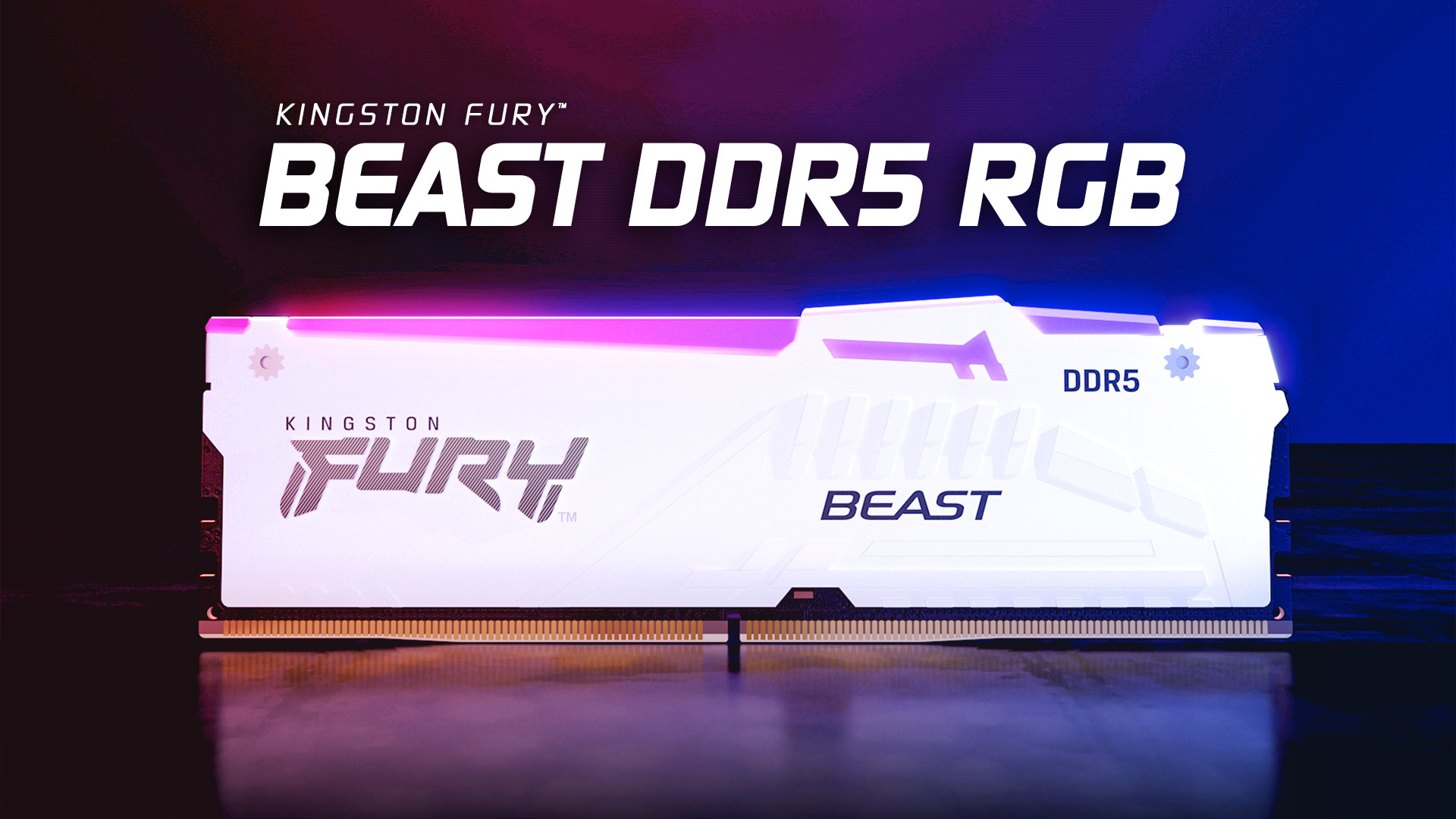Amazon.com: Kingston FURY Beast White RGB 32GB 6000MT/s CL36 DDR5