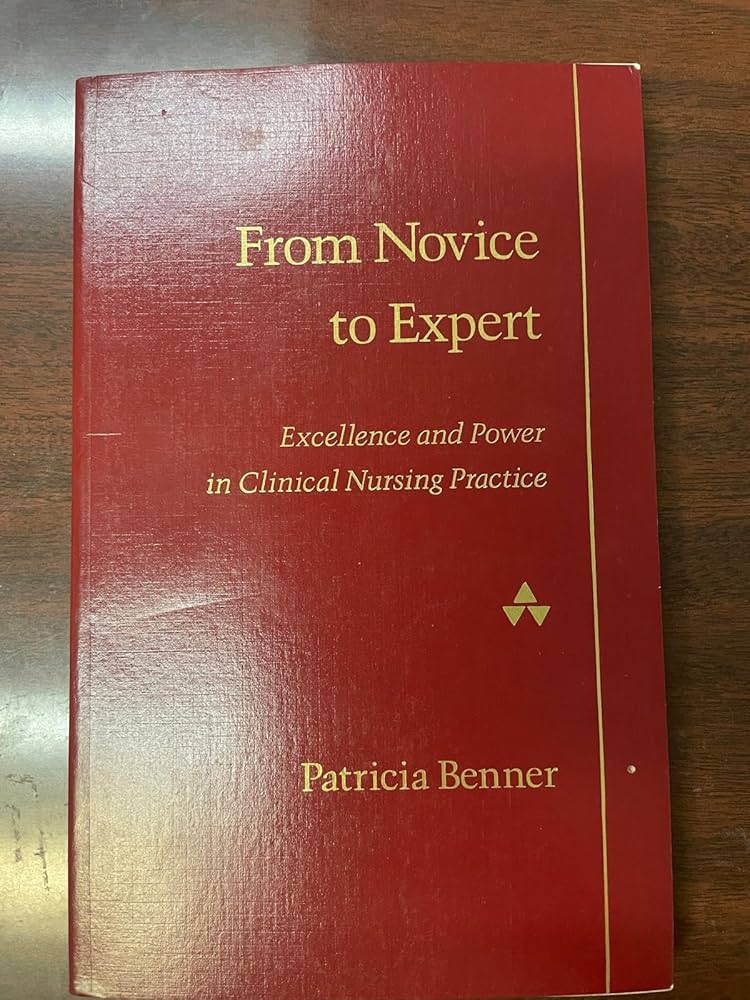 From Novice to Expert: Excellence and Power in Clinical Nursing