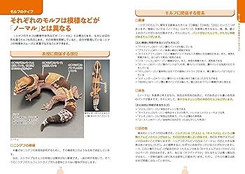 モルフ図鑑 ニシアフリカトカゲモドキ 心ときめく体色や模様の魅力