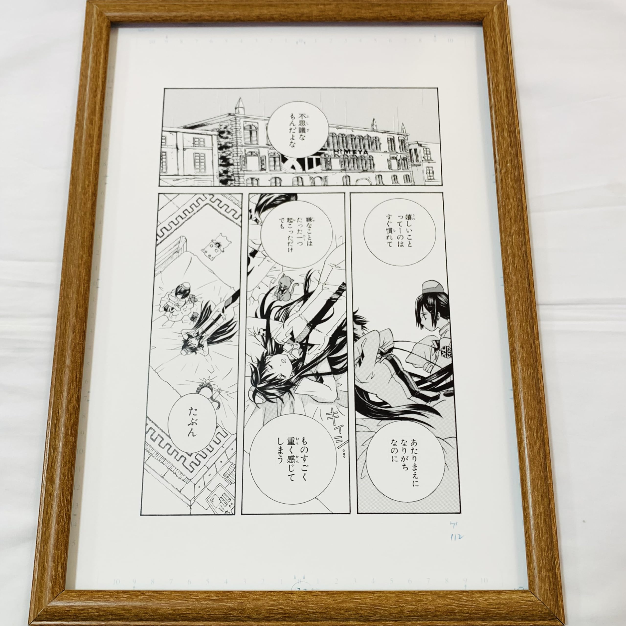 Amazon.co.jp: ARIA 複製原画 額装品 B4サイズ 晃 藍華 天野こずえ
