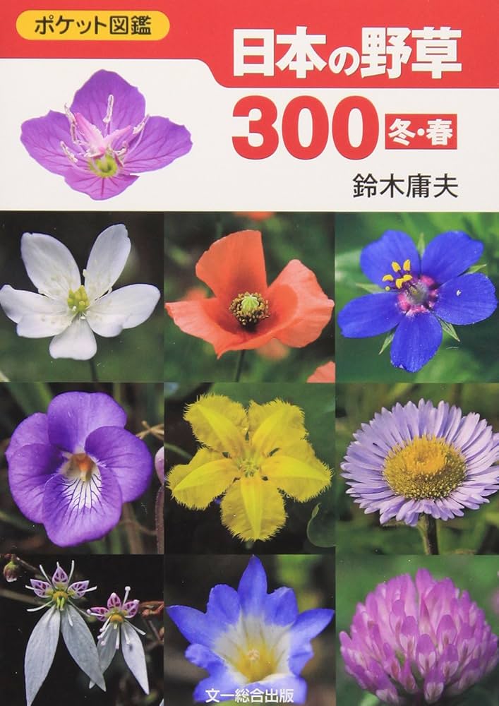 日本の野草300 冬・春: ポケット図鑑 | 鈴木 庸夫 |本 | 通販 | Amazon