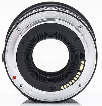 Amazon | シグマ 18-50mm F2.8 EX DC MACRO デジタル専用 キヤノン用