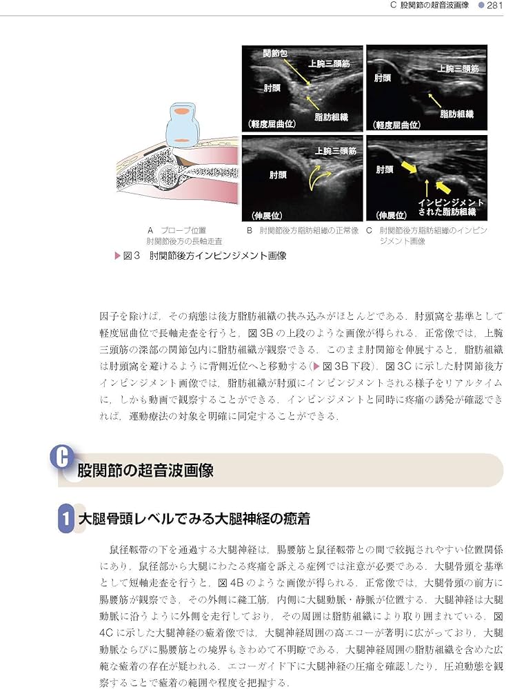 理学療法評価学 第3版 (標準理学療法学 専門分野) | 内山 靖, 岩井信彦