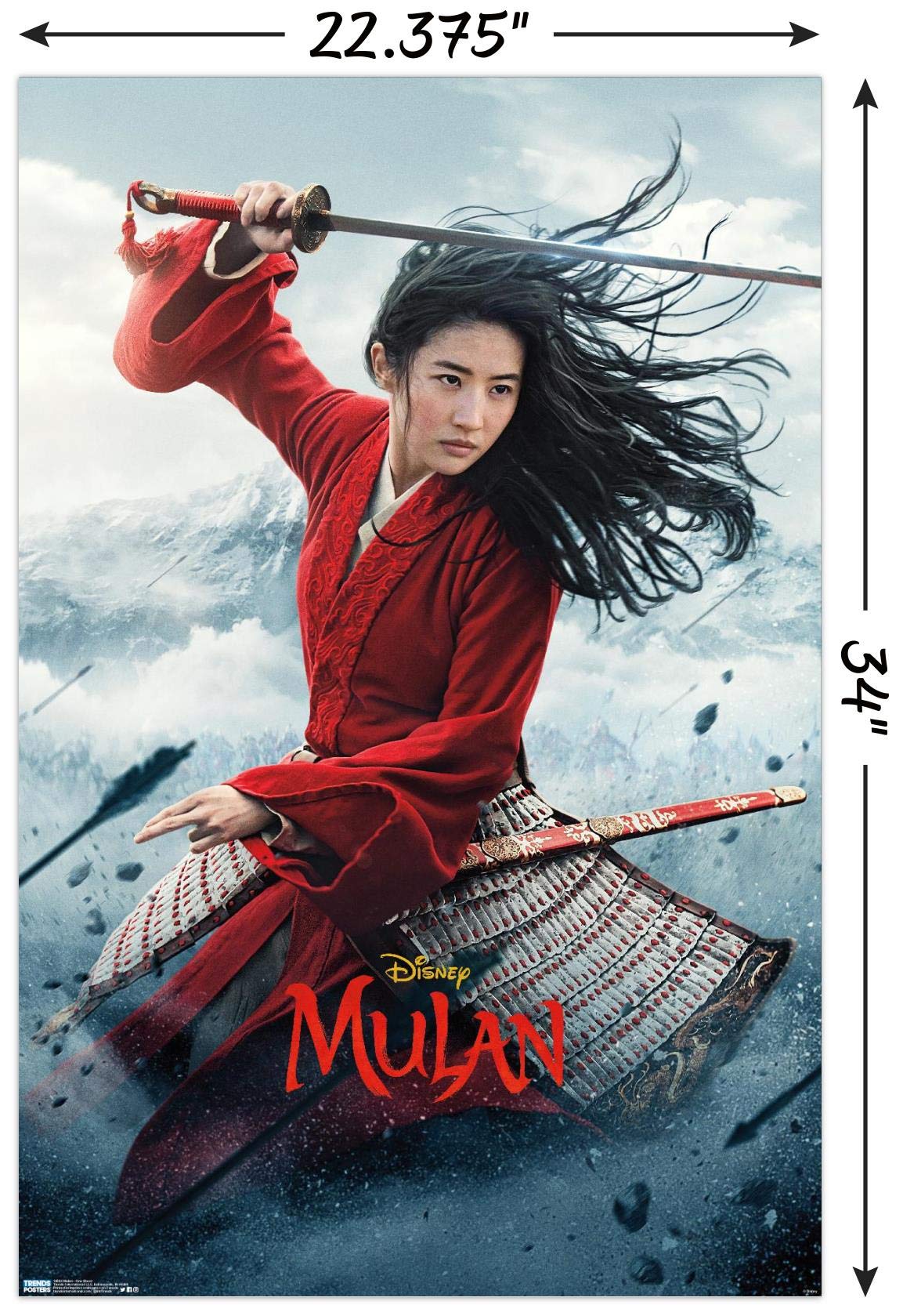 Amazon.co.jp: Trends International ディズニームーラン - 1シート壁