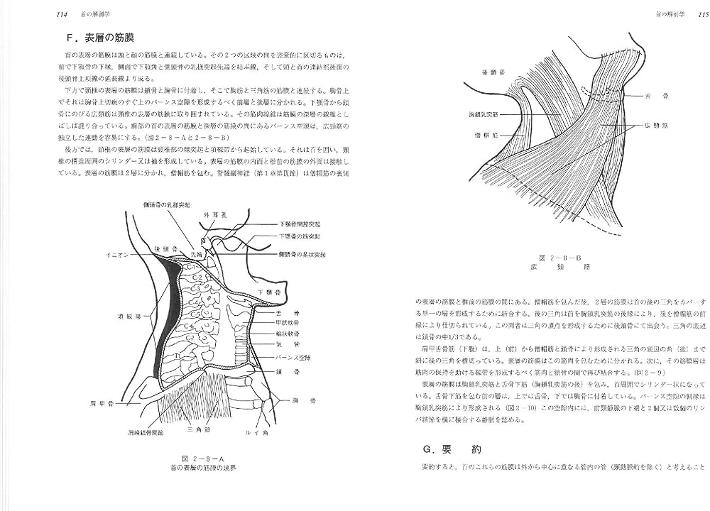 頭蓋仙骨治療Ⅱ 硬膜を越えて | ジョン・E・アプレジャー,D.O.,F.A.A.O