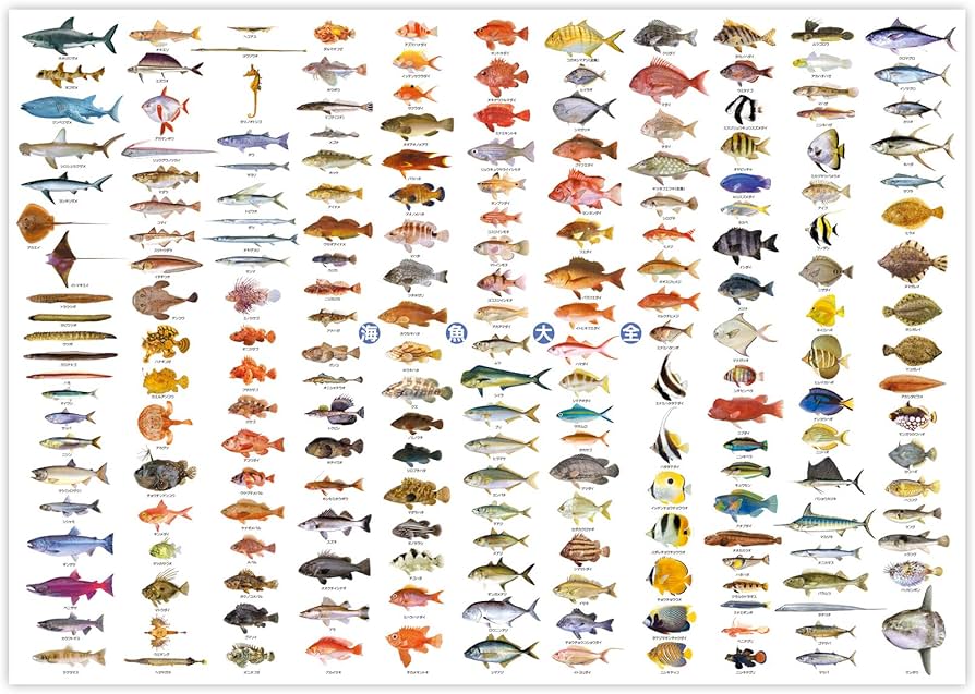 Amazon.co.jp: The Access Poster Sea Fish Compendium A1 Animal