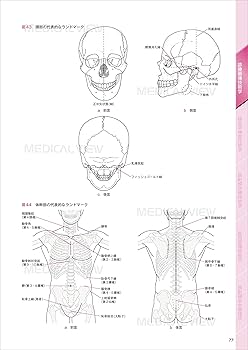 診療放射線技師 イエロー・ノート 臨床編 | 福士 政広 |本 | 通販 | Amazon