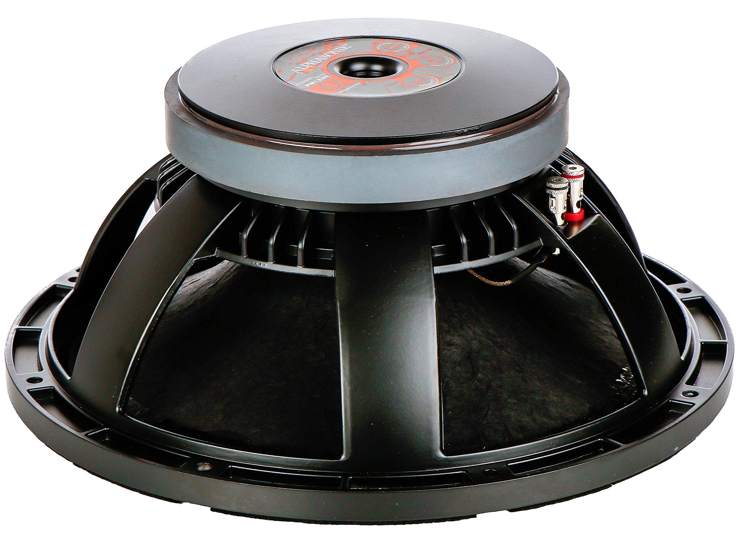 Amazon.co.jp: Alphasonik 12インチ フラッグシップシリーズ 1000