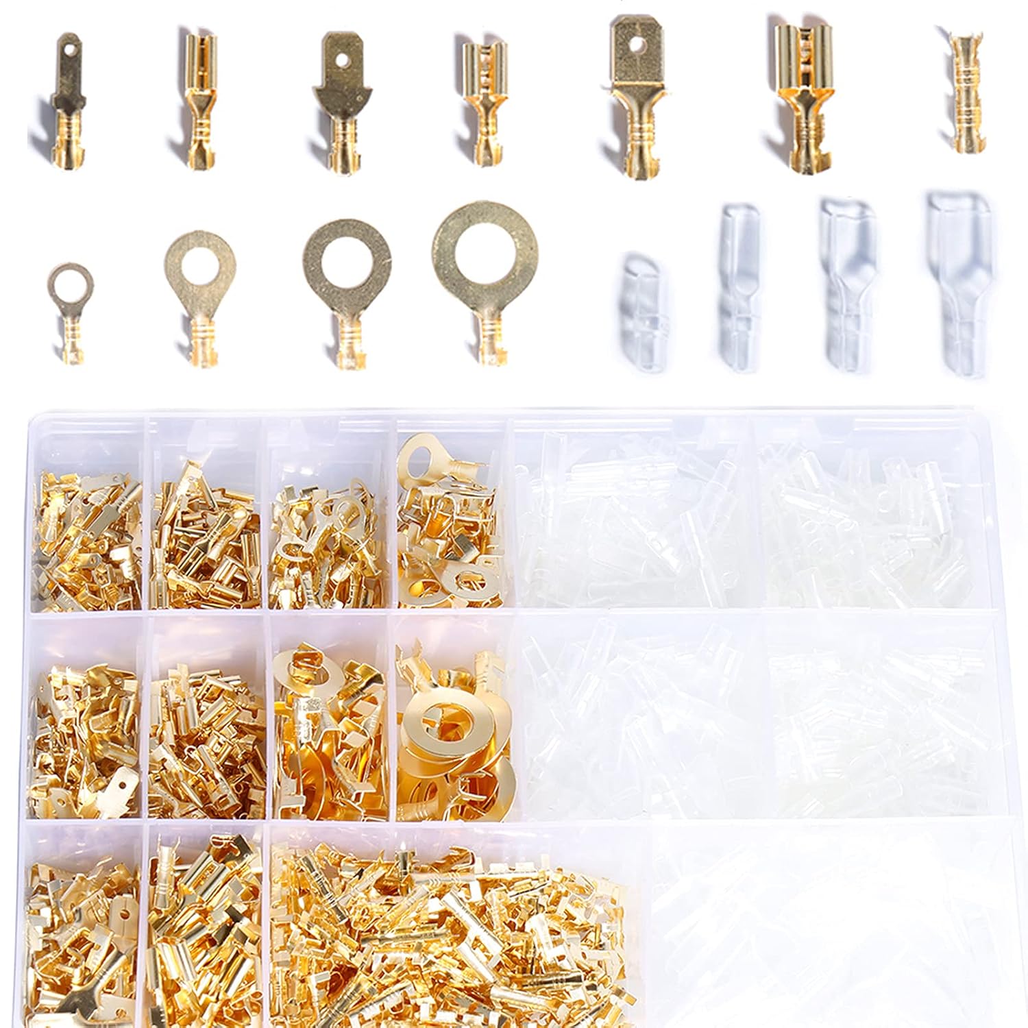 関東甲信越の蝶 採集・観察マップ Vol.21 広域地域編 関東甲信越の蝶