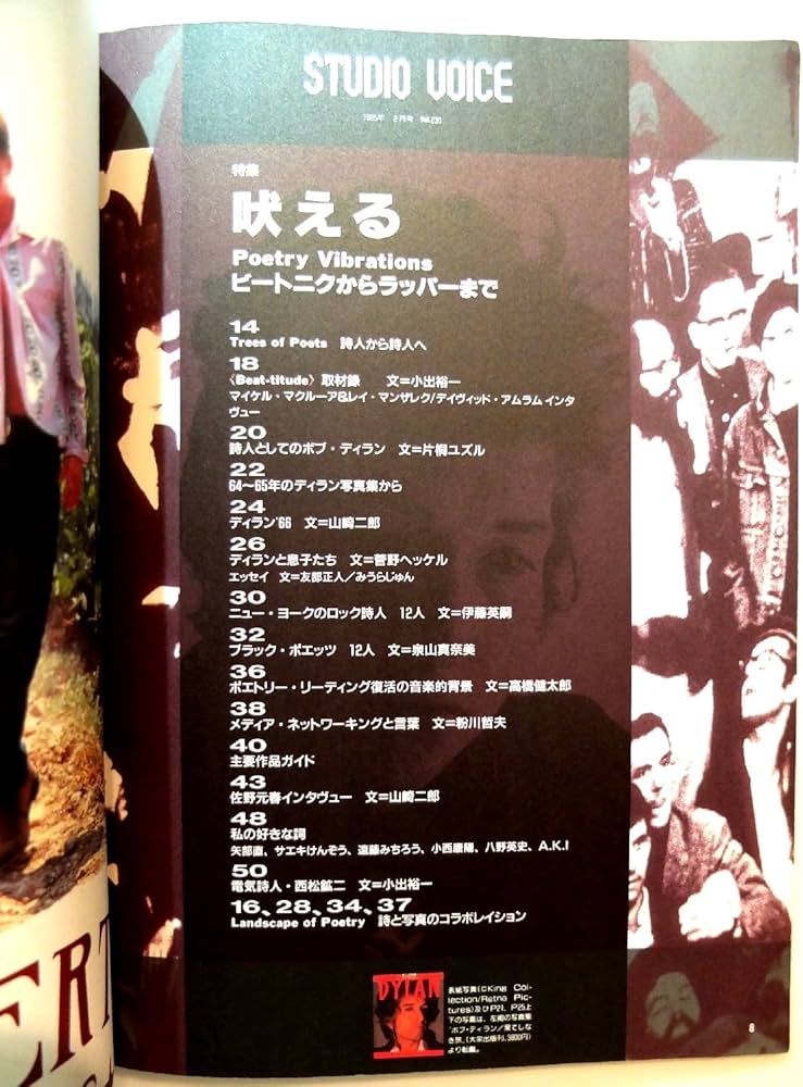 STUDIO VOICE (スタジオ・ボイス) 1995年 02月号 [雑誌] | インファス