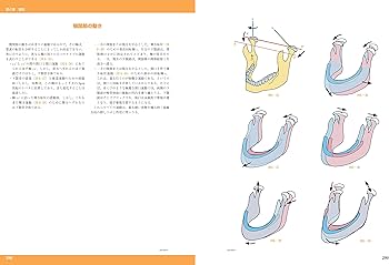 カラー版カパンジー機能解剖学 全3巻原著第6版I上肢 II下肢 III脊椎
