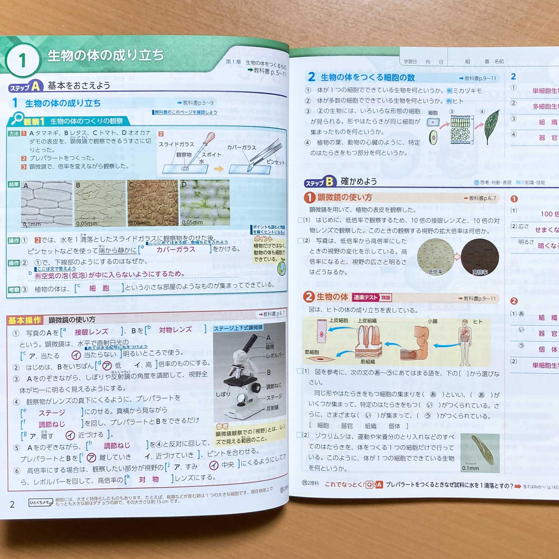 Amazon.co.jp: 2025年度版「理科の学習 2年 啓林館版【教師用】通常版