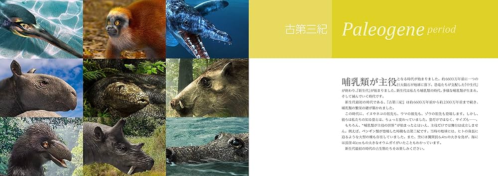 古生物のサイズが実感できる! リアルサイズ古生物図鑑 新生代編 | 土屋