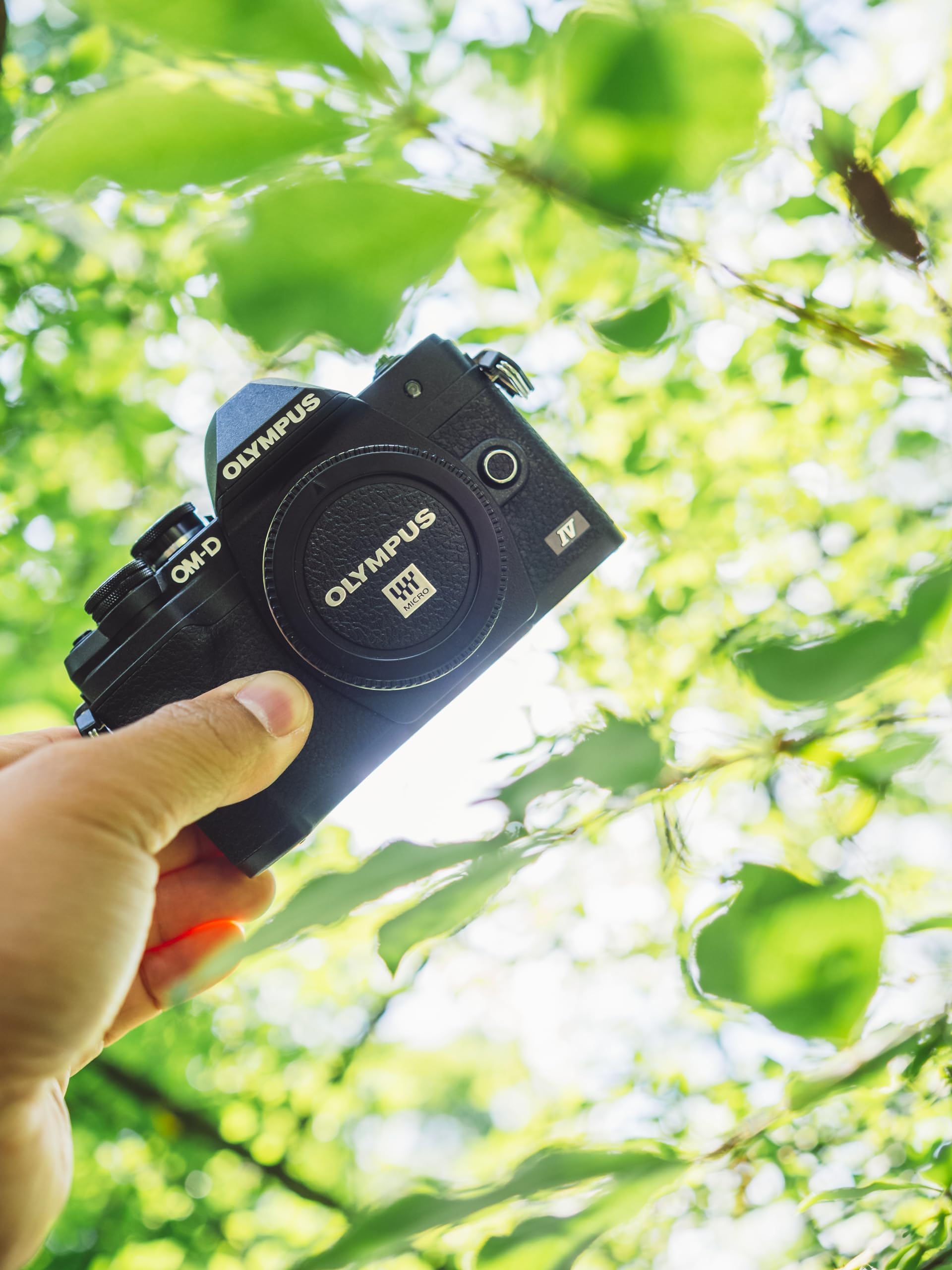 Amazon | Olympus OM-D E-M10 Mark IV ブラックカメラボディ | ミラー