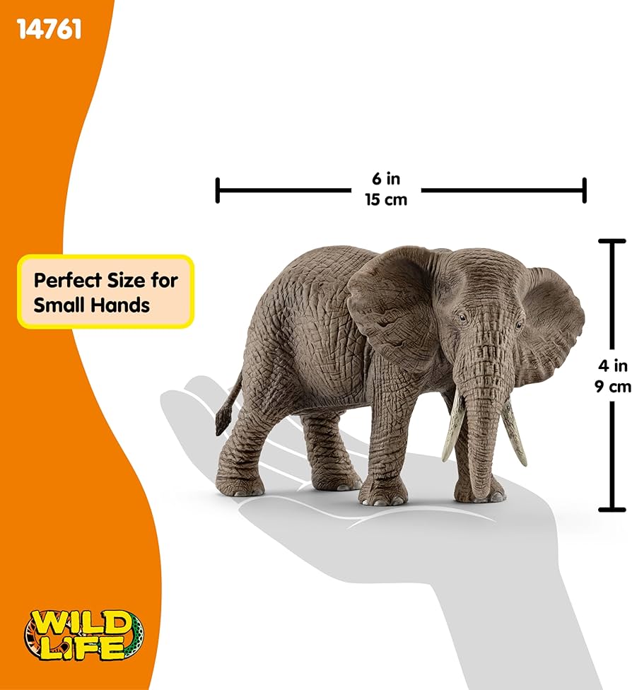 81HY9RPRIhL._AC_UF894,