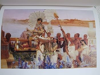 81IHIABpZWL._AC_UF350,